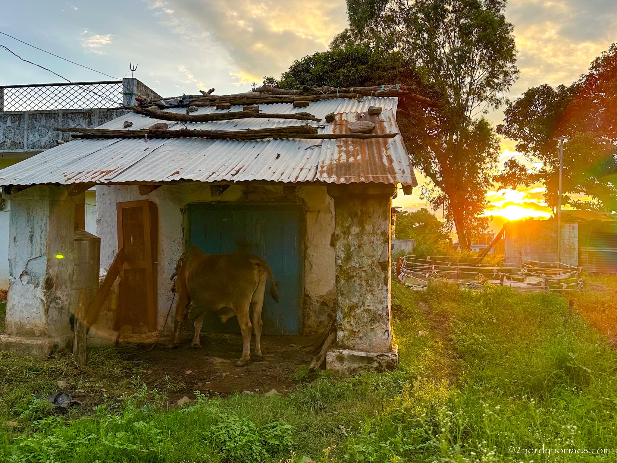 Life in kotabagh Uttarakhand