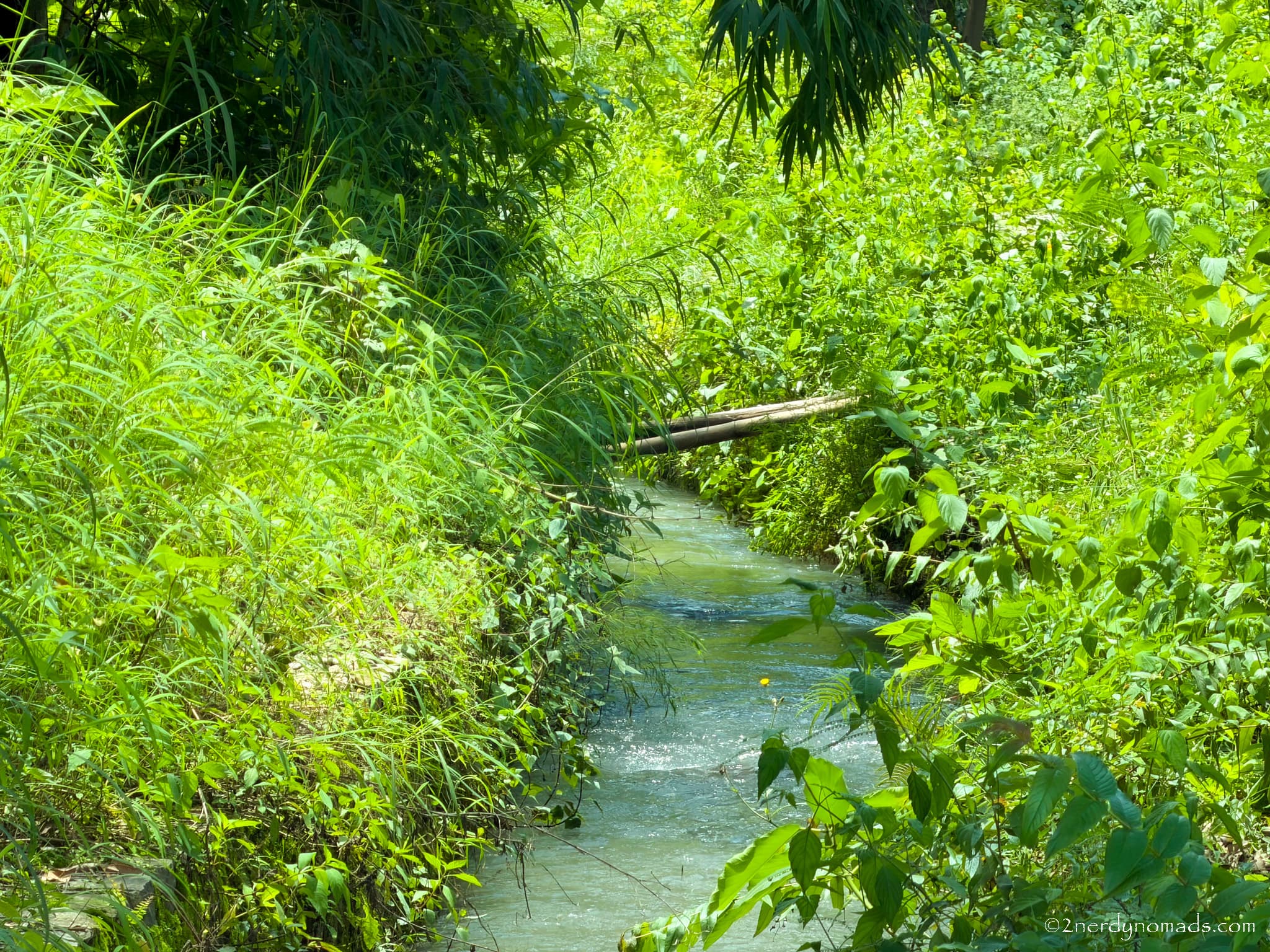 Kotabagh Uttarakhand