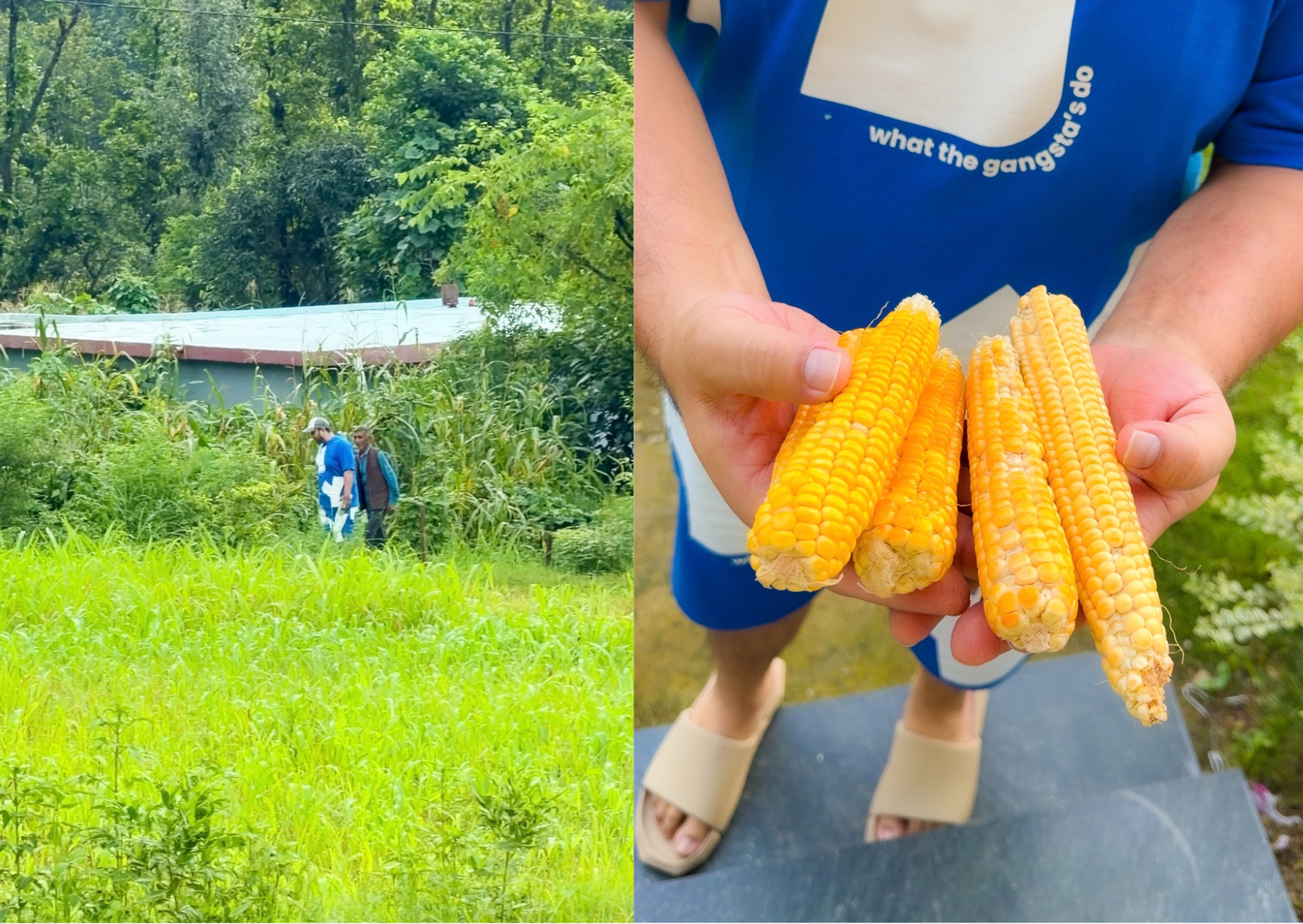 “Ae Ladki, Bhutte Khaogi?” 🌽