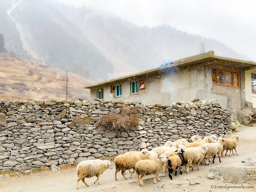 keylong in winter