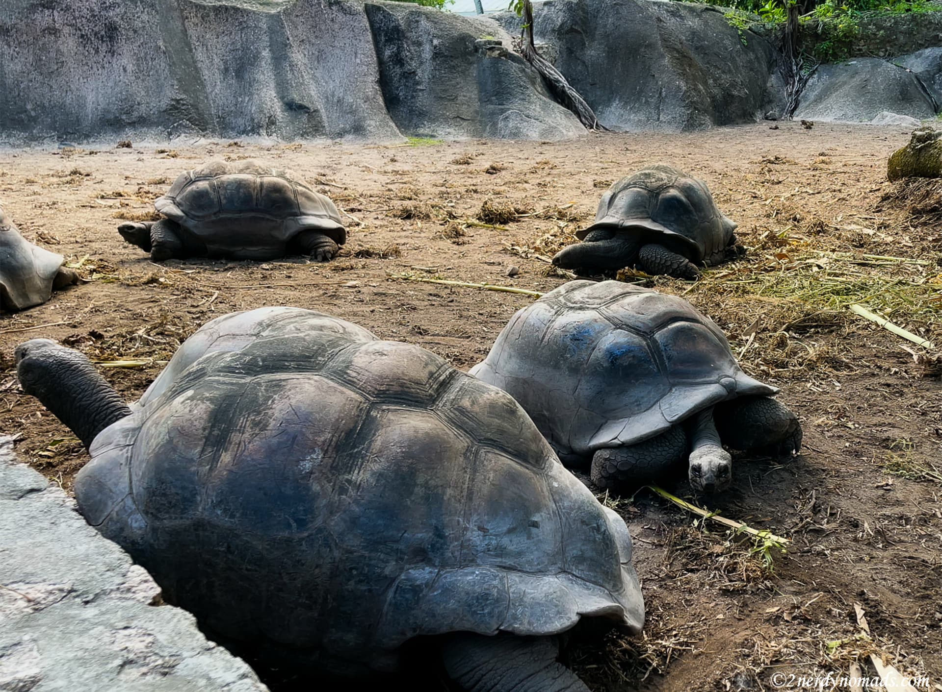 1 week seychelles itinerary