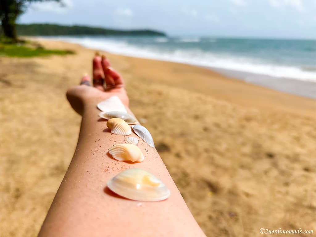 goa aesthetics