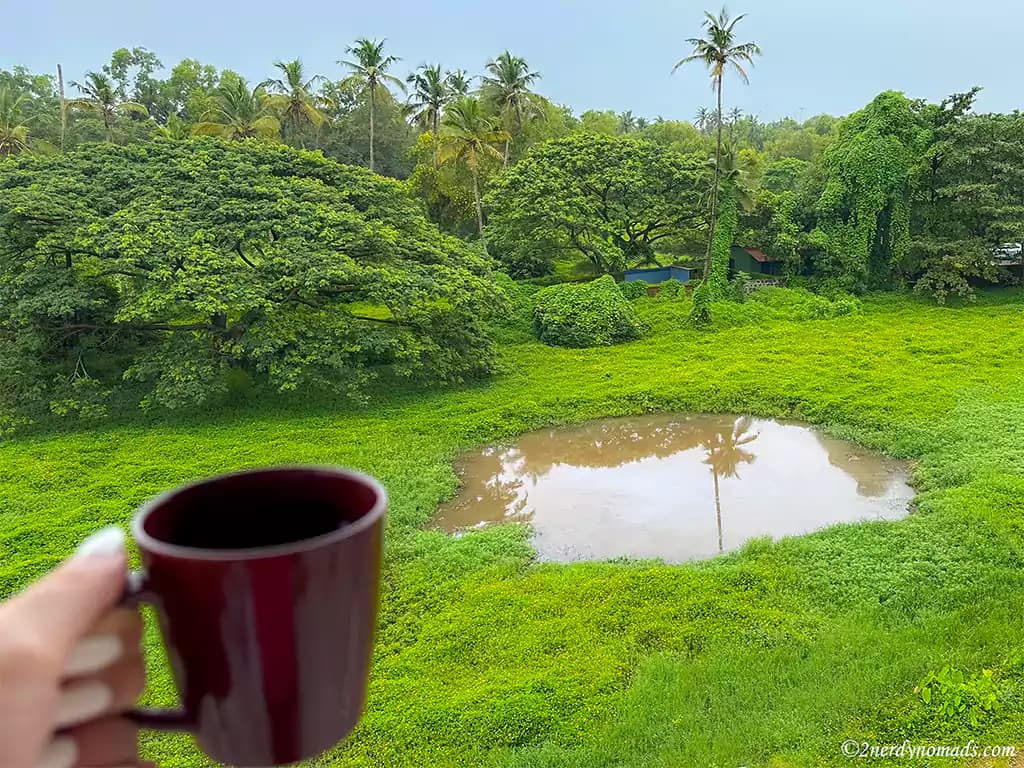 south goa airbnb