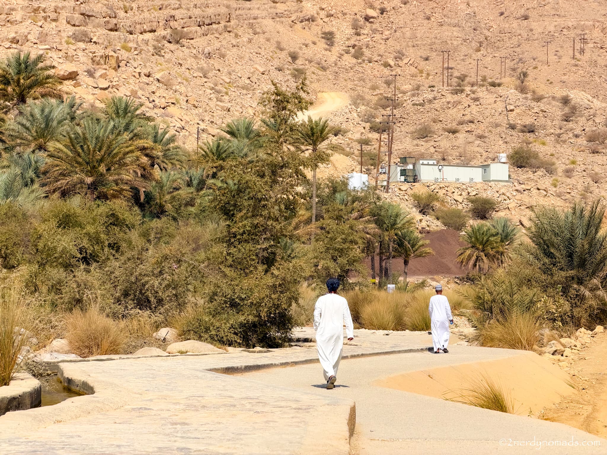 Two men walking along a stone pathway through date palm trees and a rocky mountain landscape in Oman.